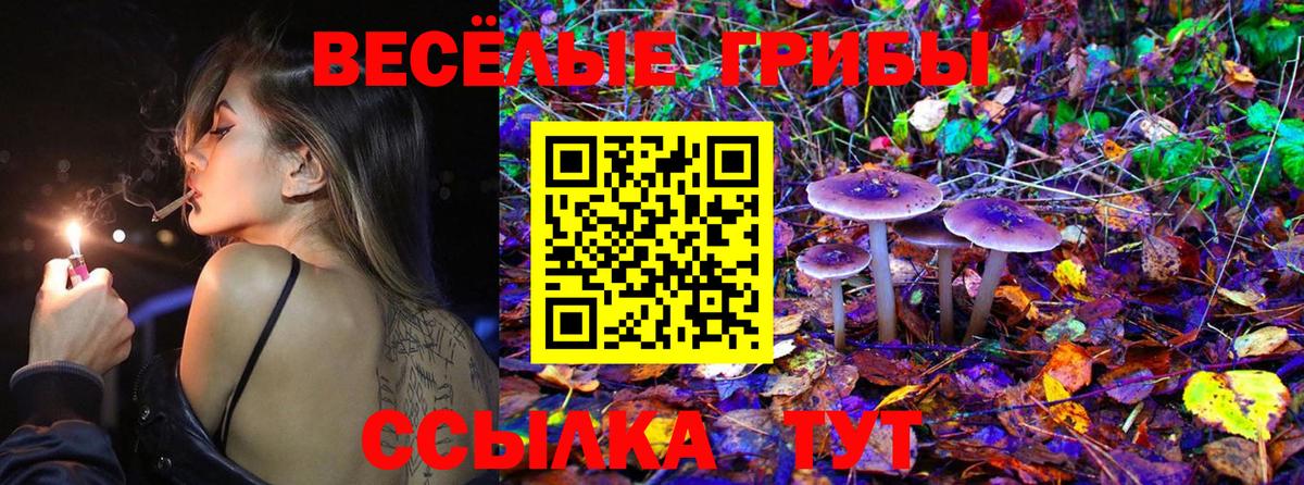 Чебаркуль  Галлюциногенные грибы ЛСД  Вход с VPN 