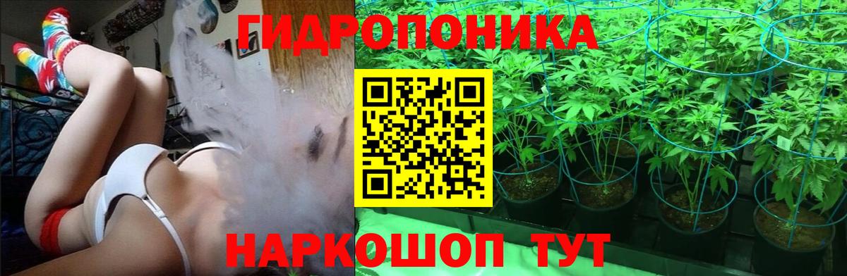 Бошки Шишки гибрид  Канабис семена  Шишки марихуана тримм  Вход с VPN  Чебаркуль  Конопля Amnesia 